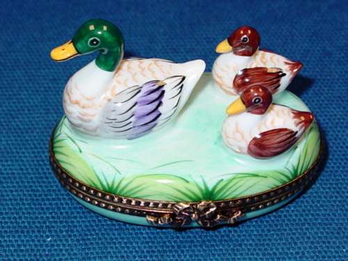 3 DUCKS FLOATING